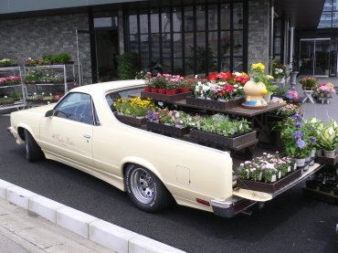 「ミヤコ花壇」　（愛知県江南市）の花屋店舗写真2